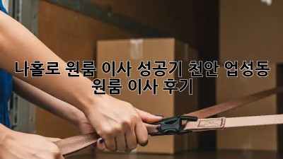 나홀로 원룸 이사 성공기: 천안 업성동 원룸 이사 후기